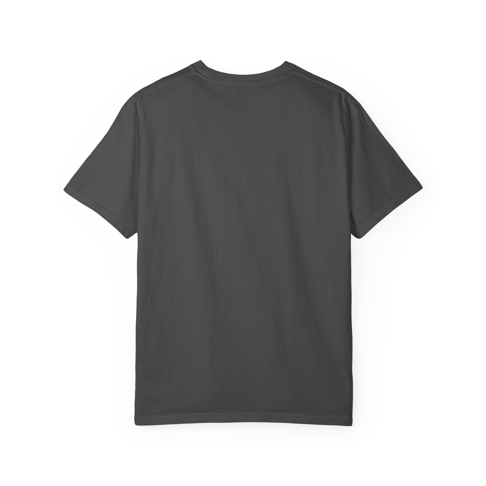 Puffins are AI Generated | Funny T-Shirt Puffins Birds Wildlife Lovers
